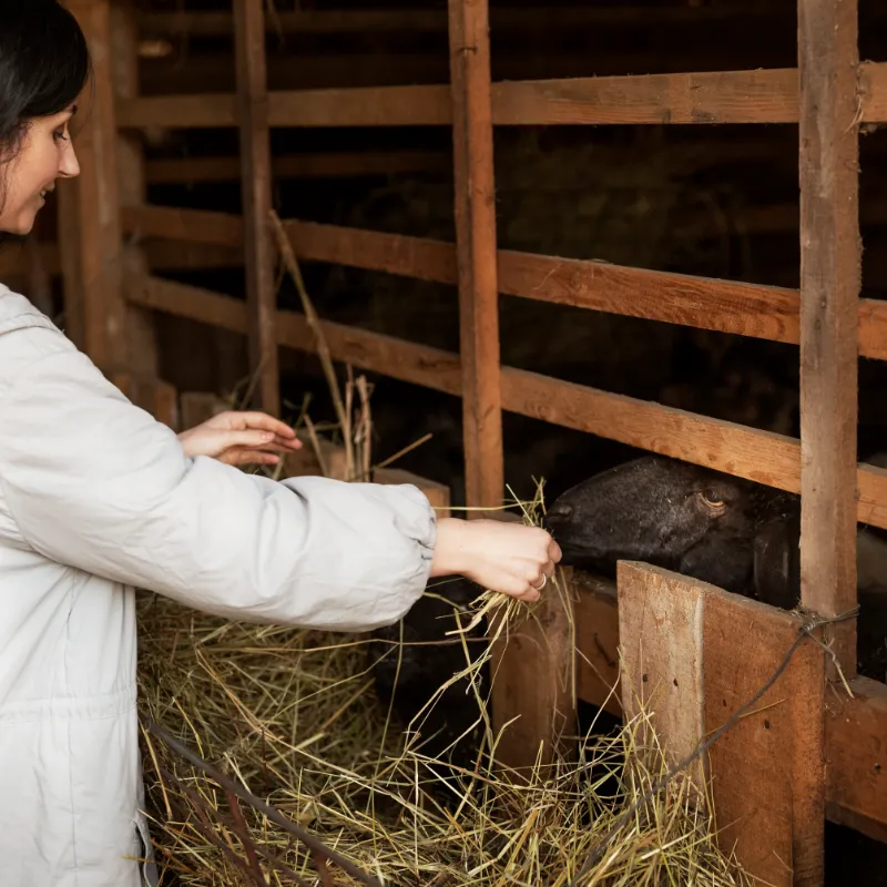 Agricultura y Ganadería