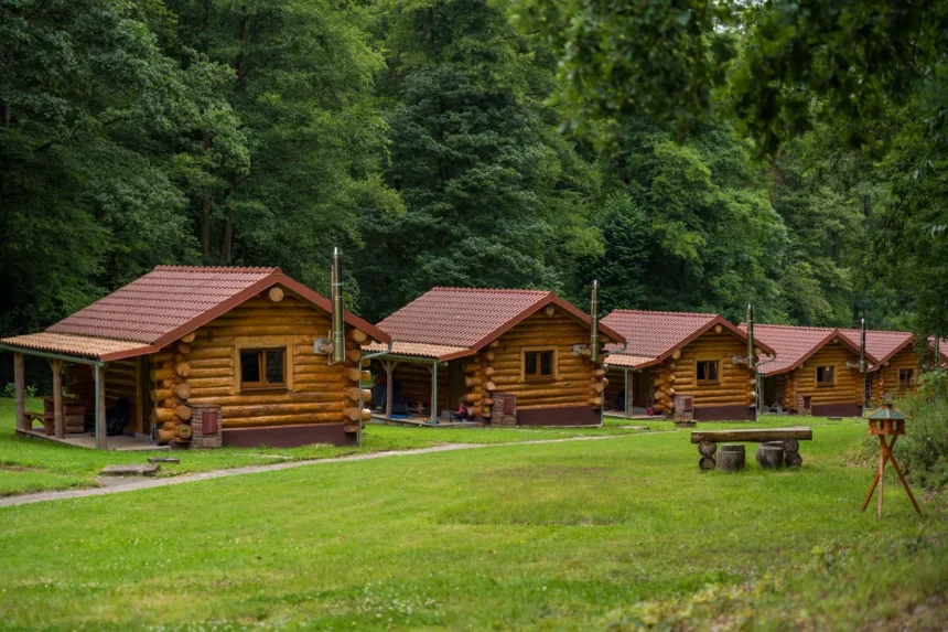 Cabañas de madera para Airbnb: 3 ventajas del pino tratado Cabañas de madera para Airbnb: 3 ventajas del pino tratado